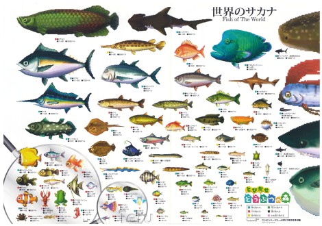 World Fish 4blog edit